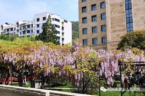 澳门赌场排名